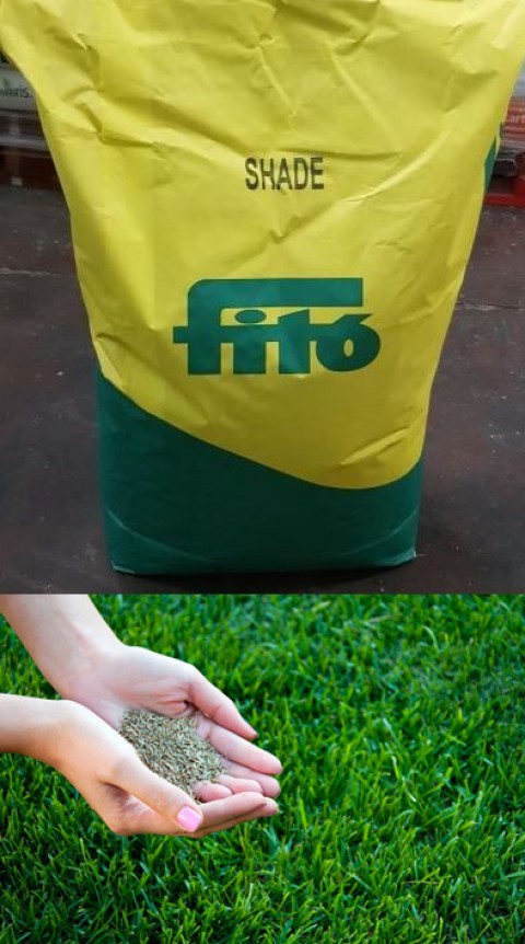 Fito Shade Çim Tohumu 200 GR ( Gölgeye Dayanıklı )
