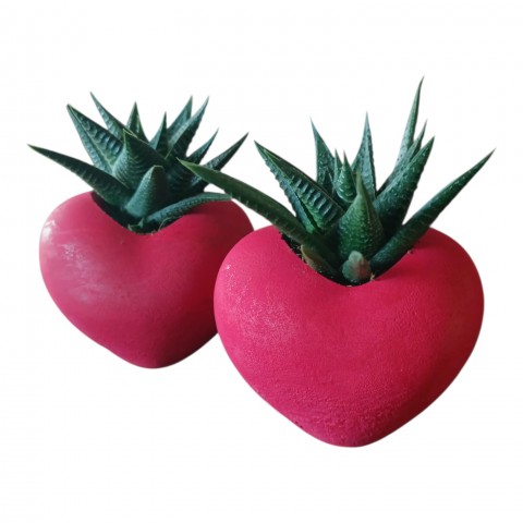 KIRMIZI KALP SAKSIDA SUKULENT – ROMANTİK CANLI HEDİYE