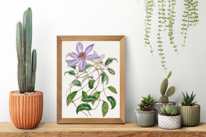 Purple Flower Çerçevesiz Poster "Botanica Serisi"