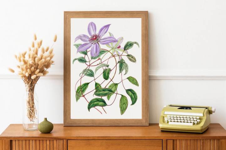 Purple Flower Çerçevesiz Poster "Botanica Serisi"