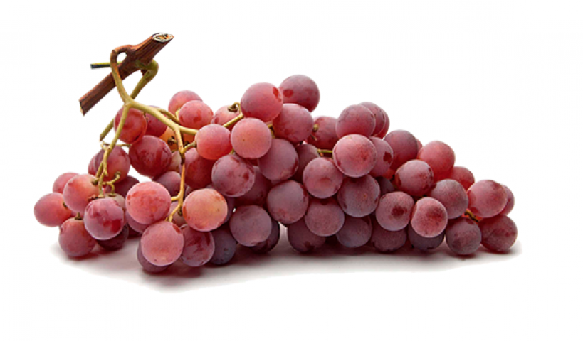 Red Globe Üzüm Fidanı 2 Yaş Tüplü