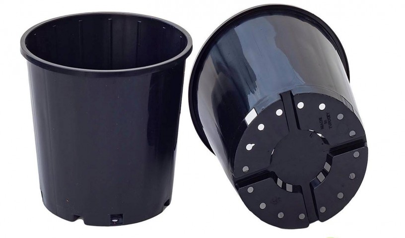 SİYAH ÜRETİM SAKSISI 50 ADET - 1 LT 13 CM