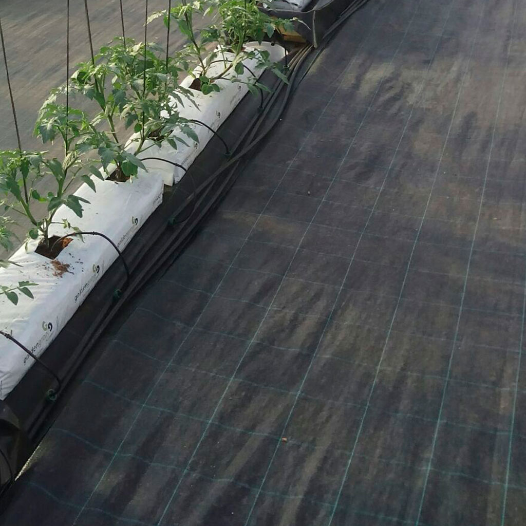 SERA / BAHÇE TABAN ÖRTÜSÜ 4 X 3 M ( 12 m2 Malç Örtüsü) SERA / BAHÇE TABAN ÖRTÜSÜ 4 X 3 M ( 12 m2 Malç Örtüsü)