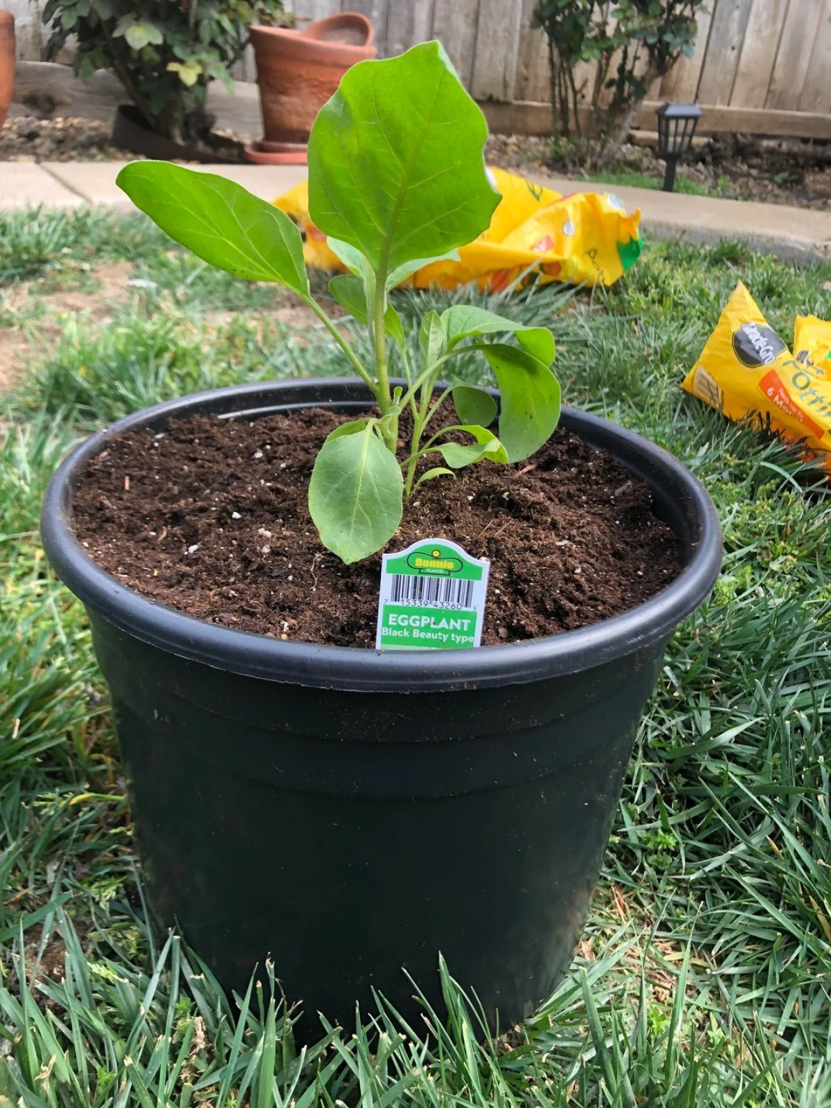 SİYAH ÜRETİM SAKSISI 100 ADET - 10 LT 26 CM