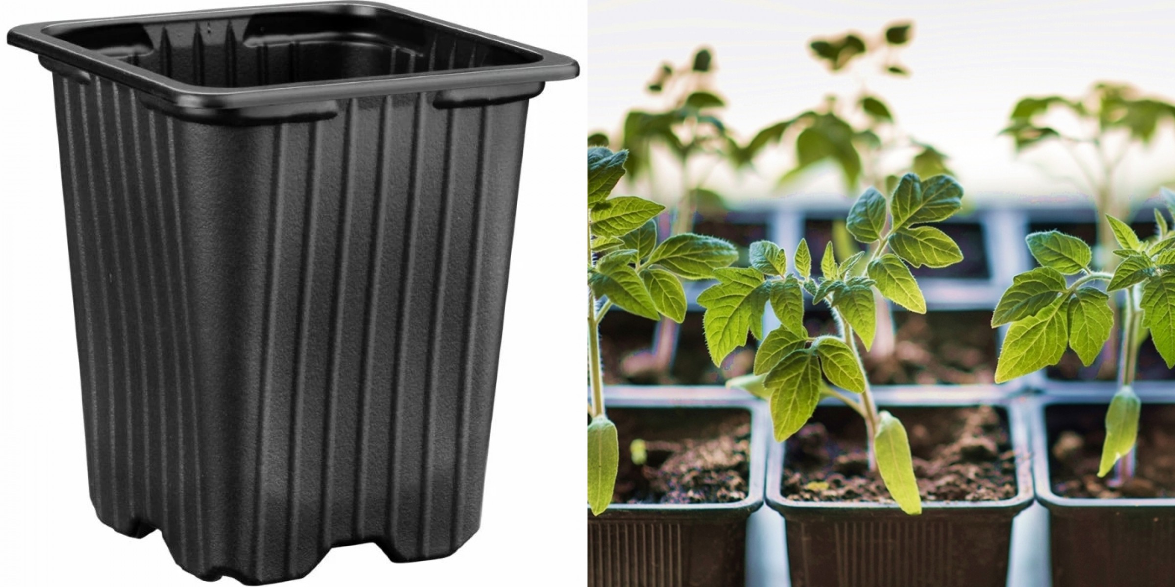 THERMOFORM KARE VAKUM SAKSI 30 ADET - ÜRETİM SAKSISI 9 CM THERMOFORM KARE VAKUM SAKSI 30 ADET - ÜRETİM SAKSISI 9 CM