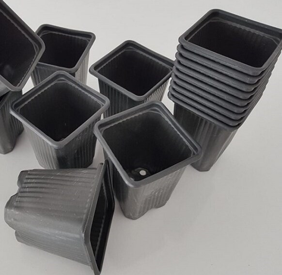 THERMOFORM KARE VAKUM SAKSI 30 ADET - ÜRETİM SAKSISI 9 CM