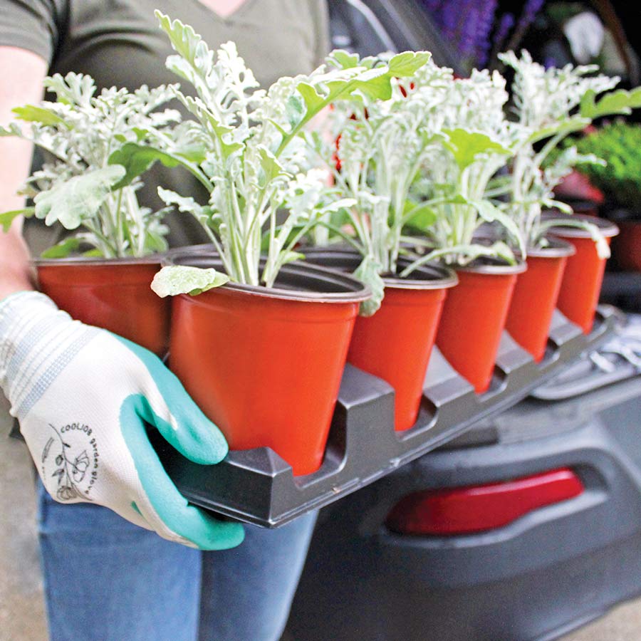 THERMOFORM VAKUM SAKSI 200 ADET - ÜRETİM SAKSISI 15 CM THERMOFORM VAKUM SAKSI 200 ADET - ÜRETİM SAKSISI 15 CM