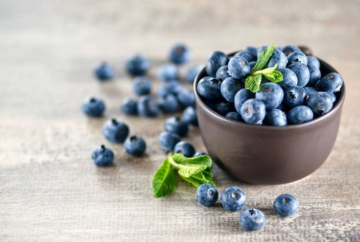 YABAN MERSİNİ FİDANI 3-4 YAŞ 80-100 cm YABAN MERSİNİ FİDANI 3-4 YAŞ 80-100 cm