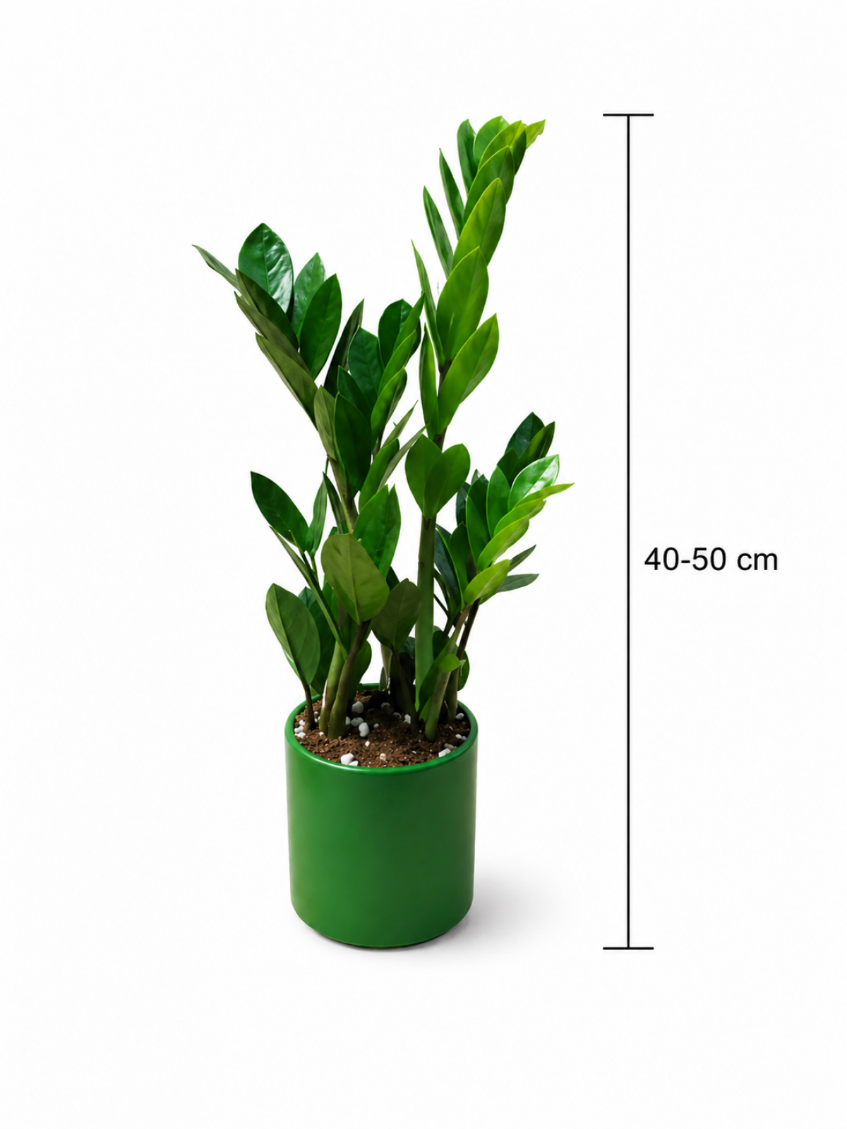 orangenbaum als zimmerpflanze Knstlicher Orangenbaum 120cm gnstig online kaufen